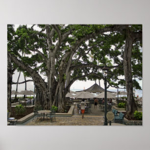 Moana Surfrider Banyandomstol - Waikiki strand Poster