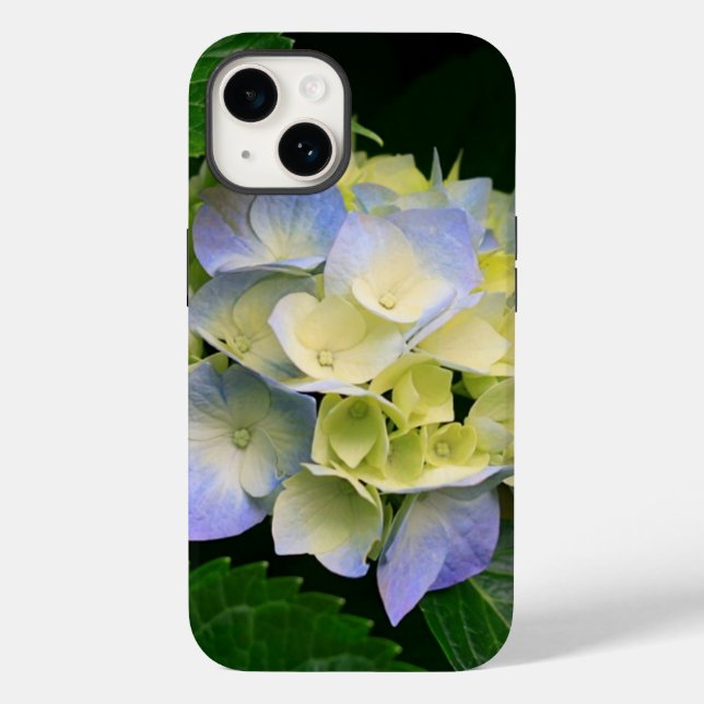 mobila caseser (Baksida)
