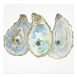 Mobile Bay Oysters-3 Fototryck