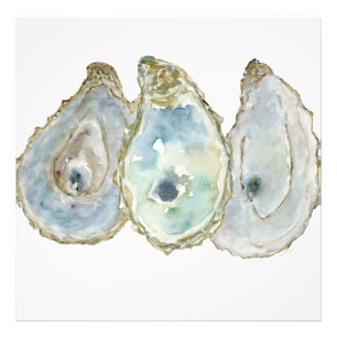 Mobile Bay Oysters-3 Fototryck