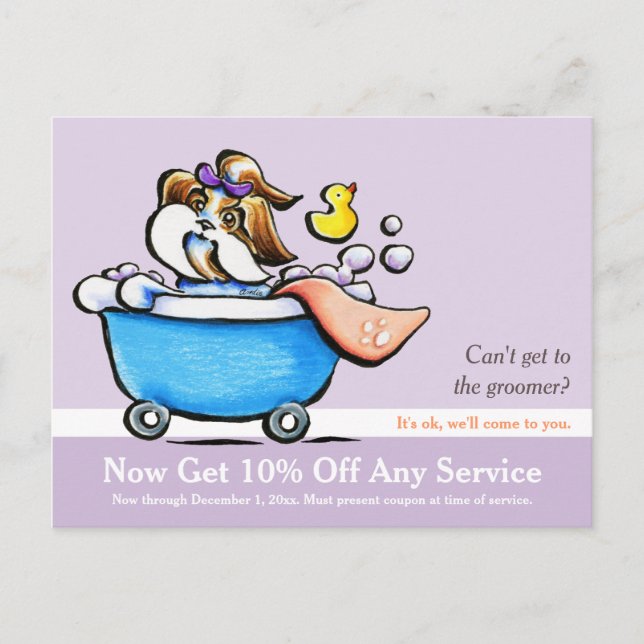 Mobile Pet Grooming Shih Tzu Lila Coupon Mailer Vykort (Framsida)