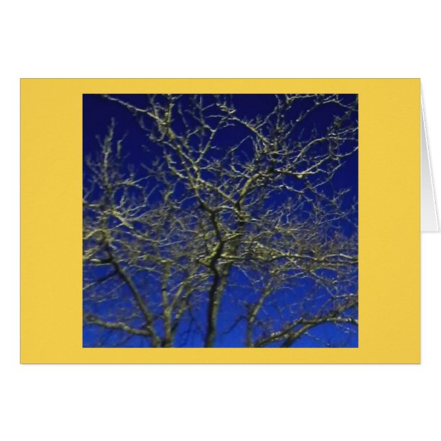 Mobilt foto 2016 för kal träd… cell hälsningskort (Framsidan Horizontal)