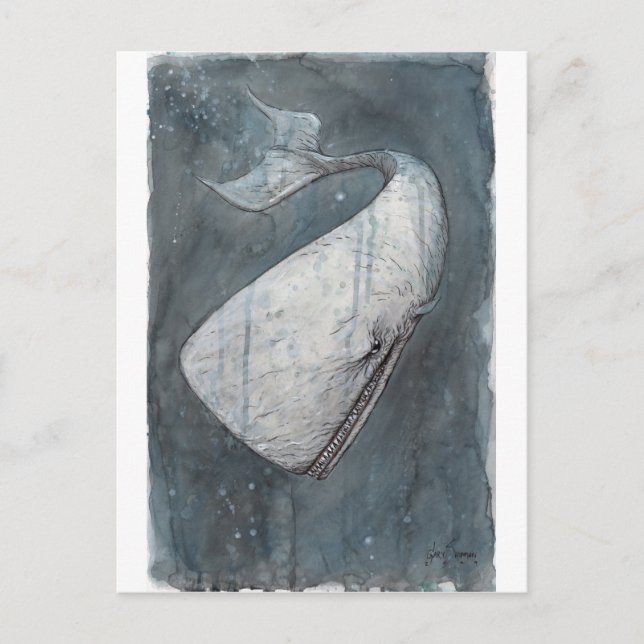 Moby Dick Vykort (Framsida)