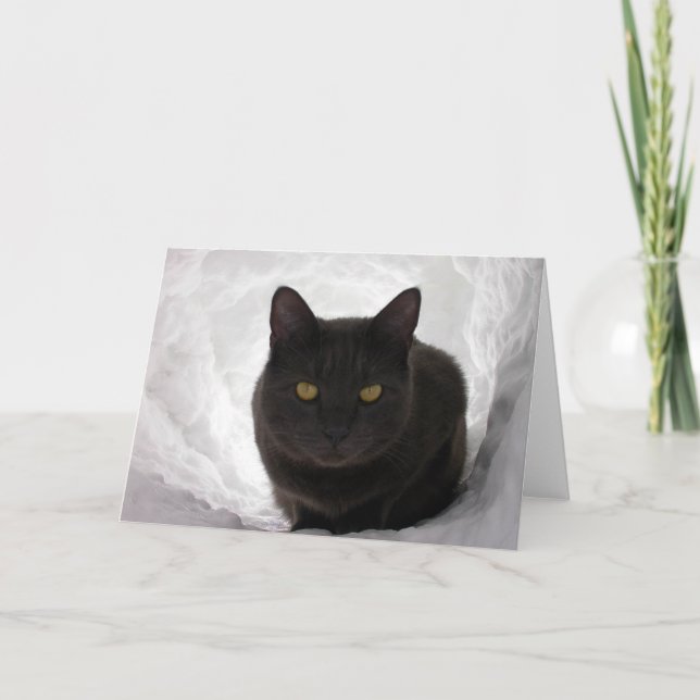 Moby i snö kort (Framsida)