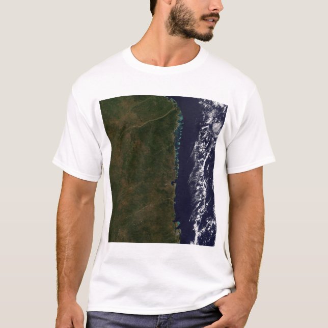 Moçambique kusten tee (Framsida)