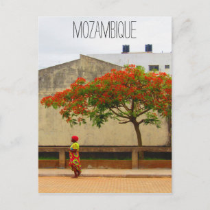 moçambique red träd vykort