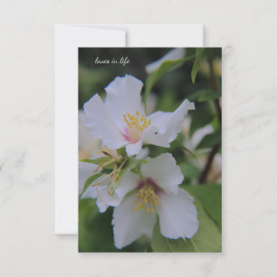 Mock Orange Flower Anteckningskort