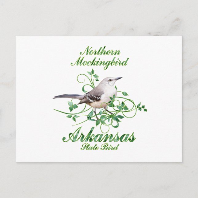 Mockingbird Arkansas State Bird Vykort (Framsida)