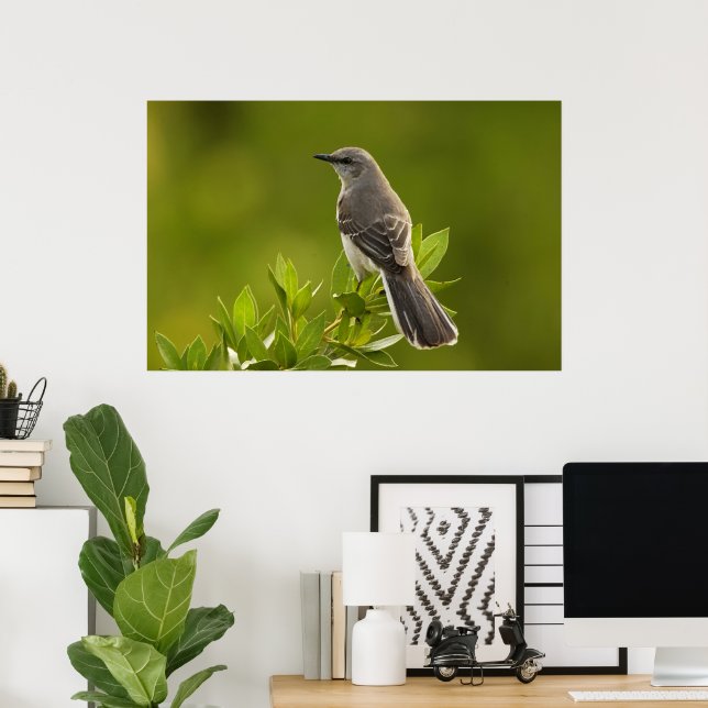 Mockingbird Bird Älskare Gifts Poster (Hemmakontoret)