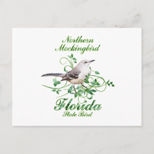 Mockingbird Florida State Bird Vykort