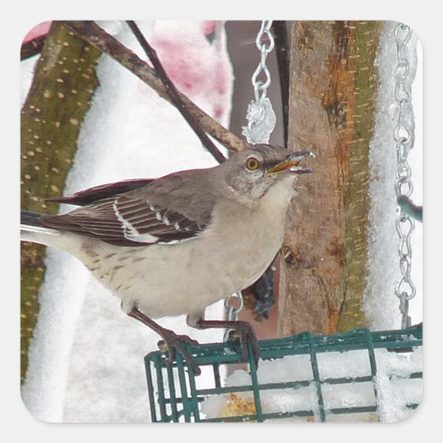 Mockingbird Fyrkantigt Klistermärke (Framsida)