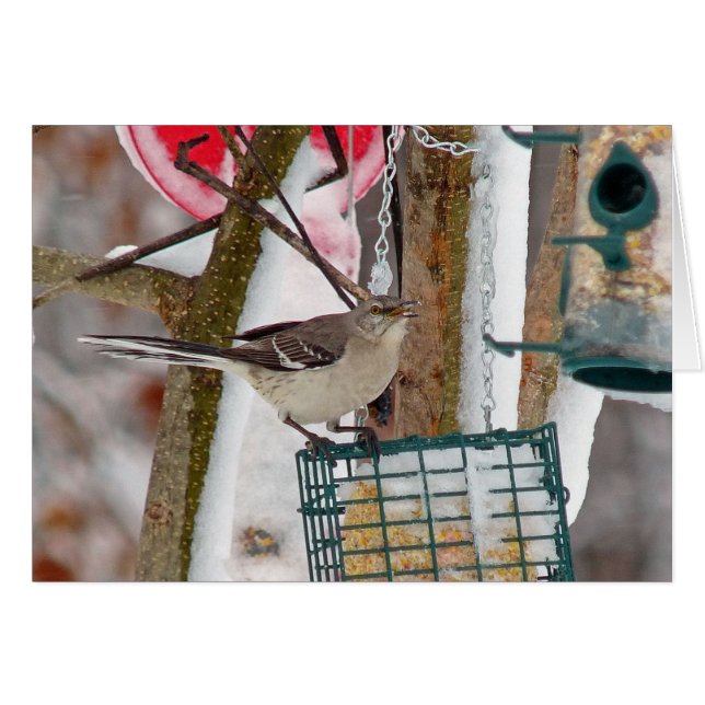 Mockingbird Hälsningskort (Framsidan Horizontal)