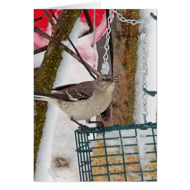 Mockingbird Hälsningskort (Framsidan)