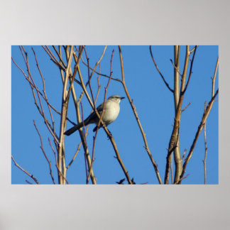 Mockingbird II Poster