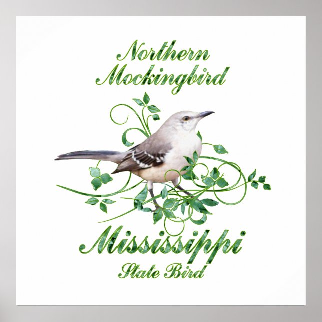 Mockingbird Mississippi State Bird Poster (Framsidan)