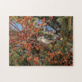Mockingbird och Virginia Creeper Pussel