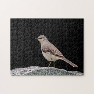 Mockingbird på gravsten pussel