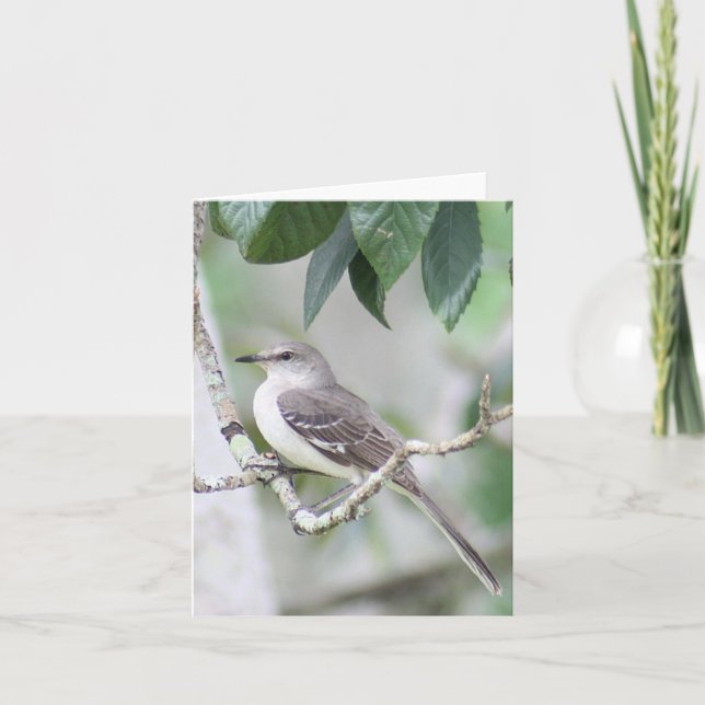 Mockingbird Photo Folant Note Card Anteckningskort (Framsida)
