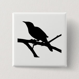 Mockingbird Silhouette Knapp