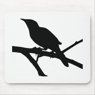 Mockingbird Silhouette Musmatta