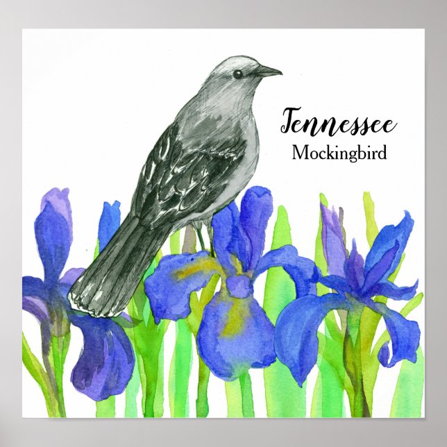 Mockingbird State Bird of Tennessee Poster (Framsidan)
