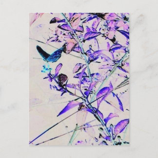 Mod Butterfly - vykort