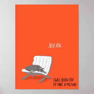 Mod Cats - fråga bara Poster