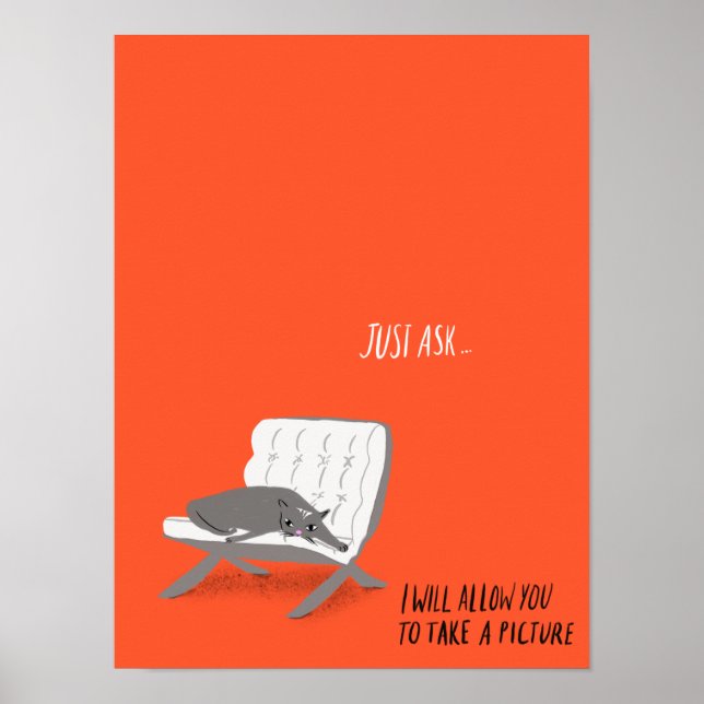 Mod Cats - fråga bara Poster (Framsidan)