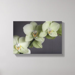 Mod för Elegant av Orchid-Blommar Canvastryck