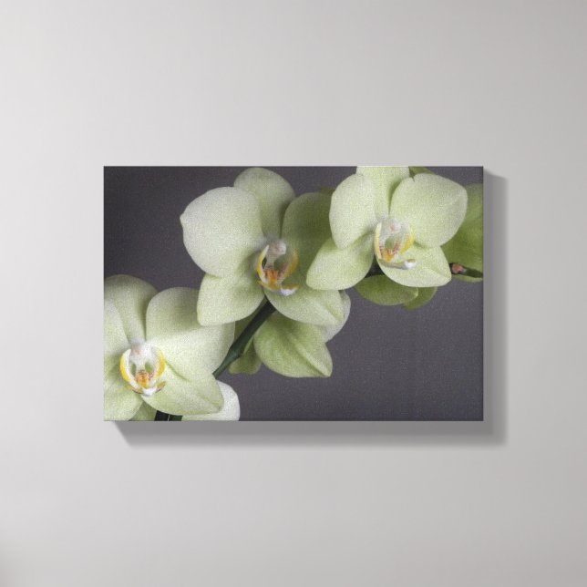 Mod för Elegant av Orchid-Blommar Canvastryck (Framsida)