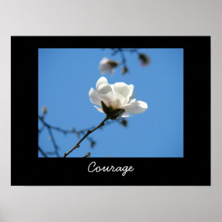 Mod konsttryck Vit Magnolia Blomma Blå Himmel Poster