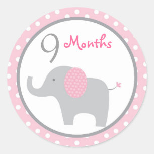 Mod Rosa Elephant Girl Monthly Milestone Stickers Runt Klistermärke