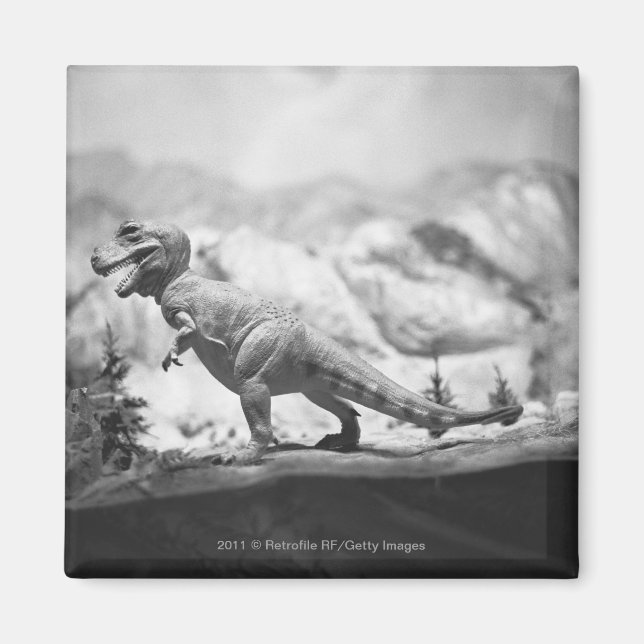 Modell för tyrannosaurus rex B&W Magnet (Framsidan)