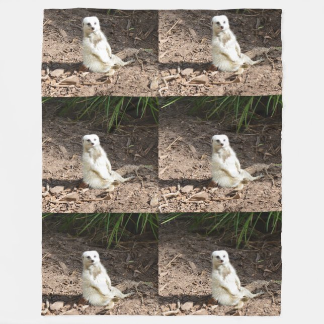 Modell i Vilden: White Meerkat Posing for Camera Fleecefilt (Framsidan)