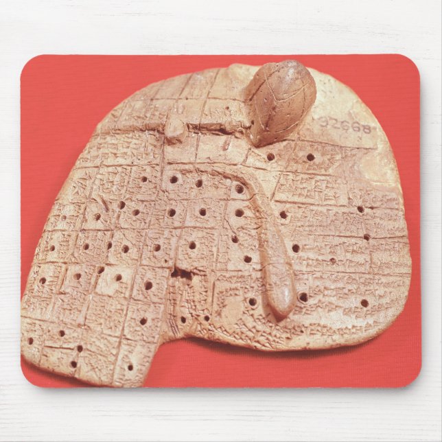 Modellera av en sheeps lever musmatta (Framsidan)