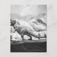 Modellera av tyrannosaurusrex B&W