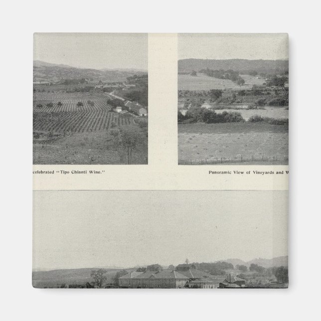 Modellvin, Kalifornien Magnet (Framsidan)