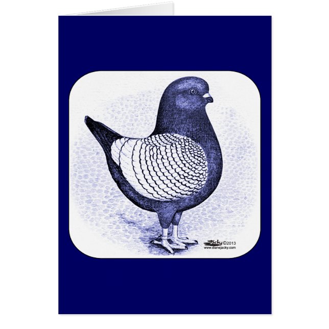 Modena Argent Pigeon OBS Kort (Framsidan)
