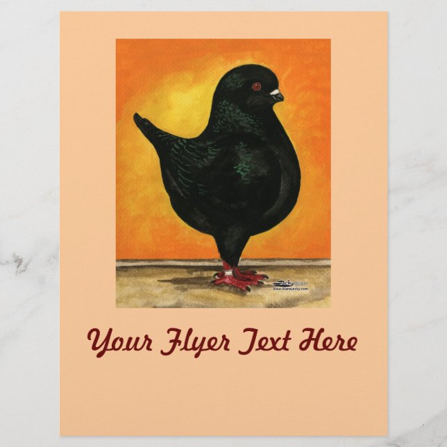 Modena Black Schietti Reklamblad (Framsidan)