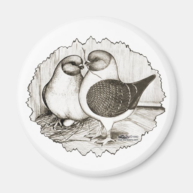 Modena Gazzi Pigeons Magnet (Framsidan)