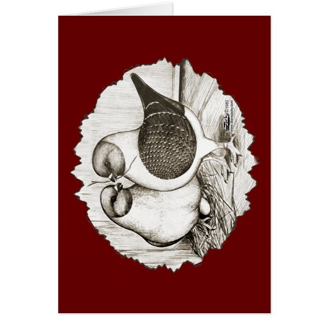 Modena Gazzi Pigeons OBS Kort (Framsidan)