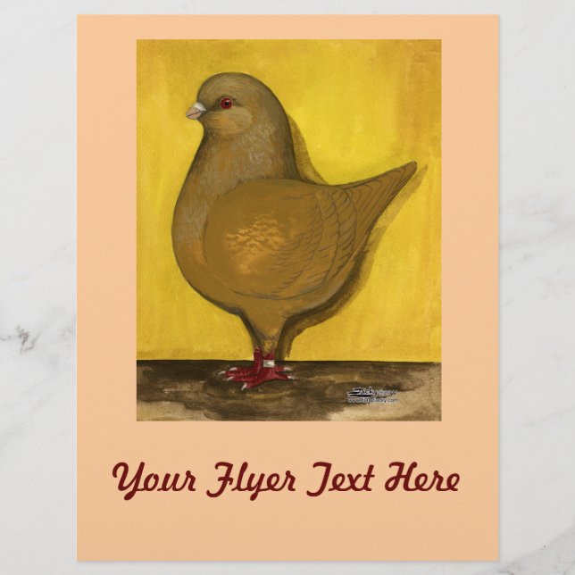 Modena Gult Schietti Reklamblad (Framsidan)