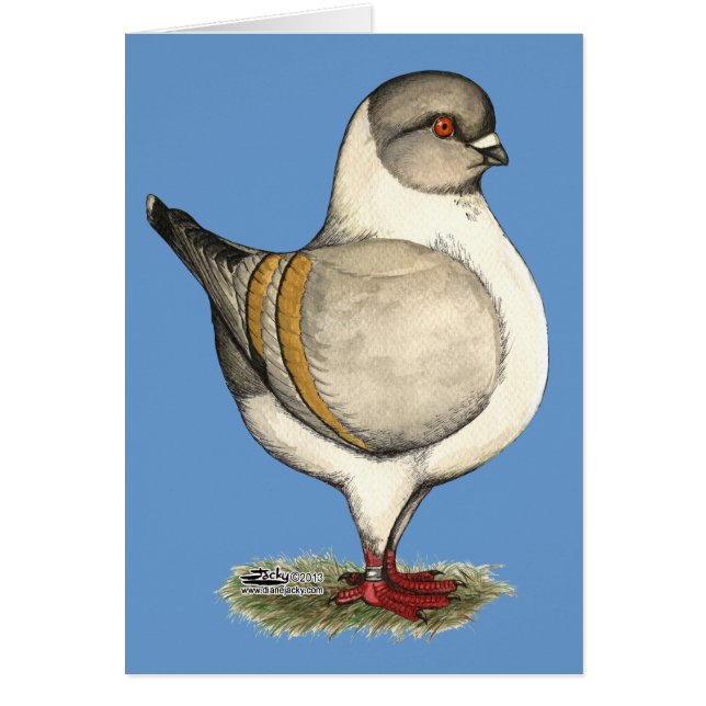 Modena Silver Gazzi OBS Kort (Framsidan)