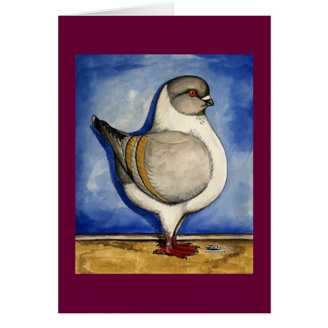 Modena Silver Gazzi Pigeon OBS Kort (Framsidan)