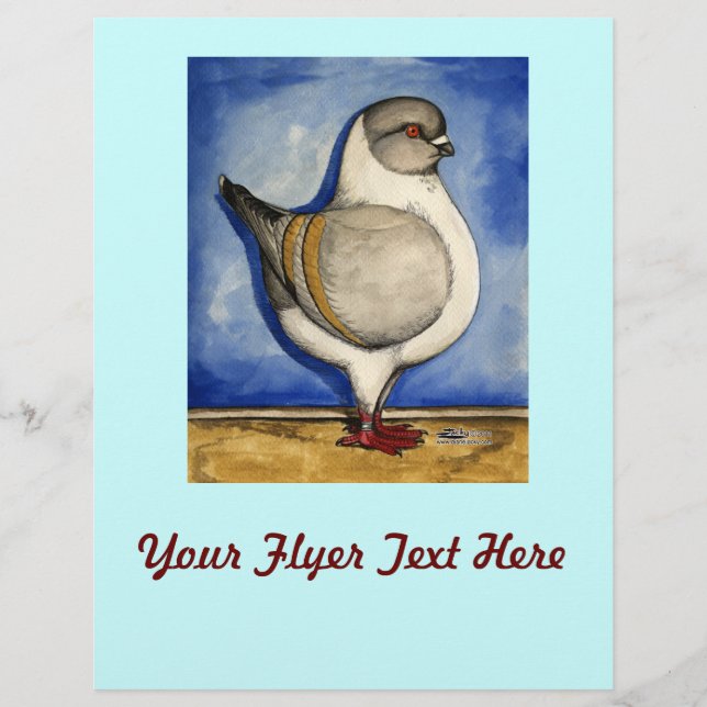 Modena Silver Gazzi Reklamblad (Framsidan)