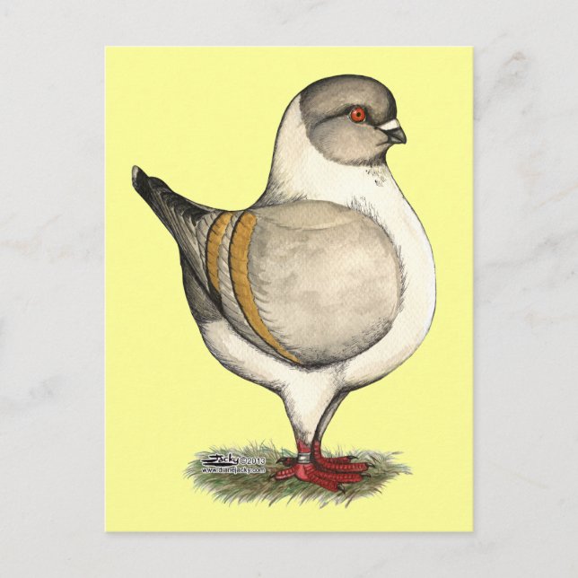 Modena Silver Gazzi Vykort (Framsida)