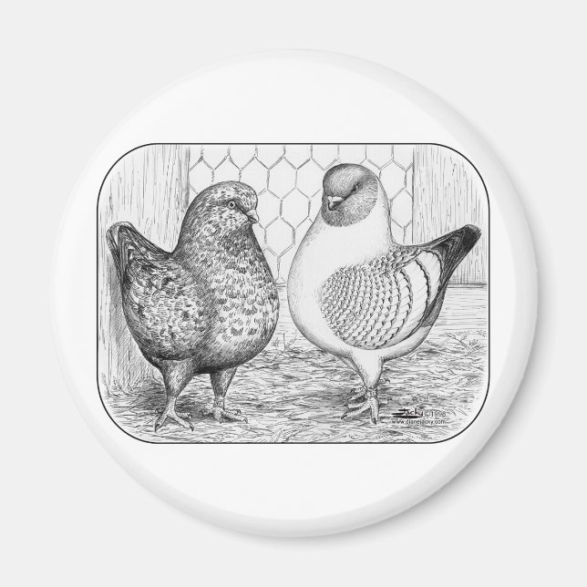 Modenas Two Magnet (Framsidan)