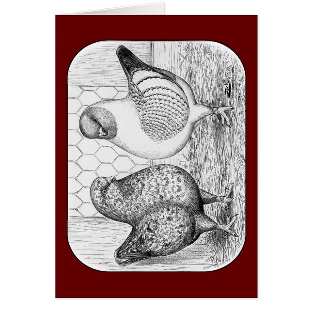 Modenas Two Pigeons OBS Kort (Framsidan)