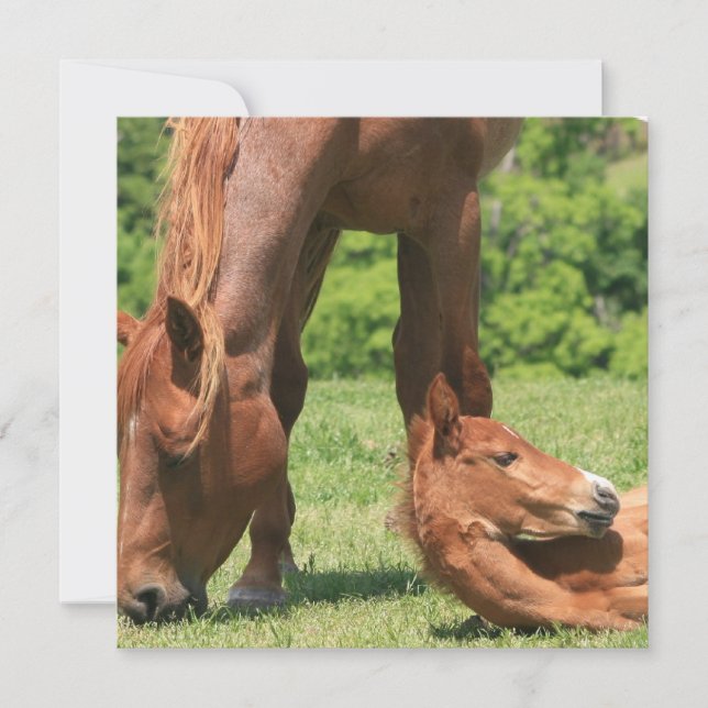 Moder- och färginbjudan inbjudningar (Framsida)