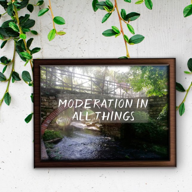 Moderering i alla sak-offertbryggan poster (Skapare uppladdad)
